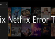 fix neflix T1 error